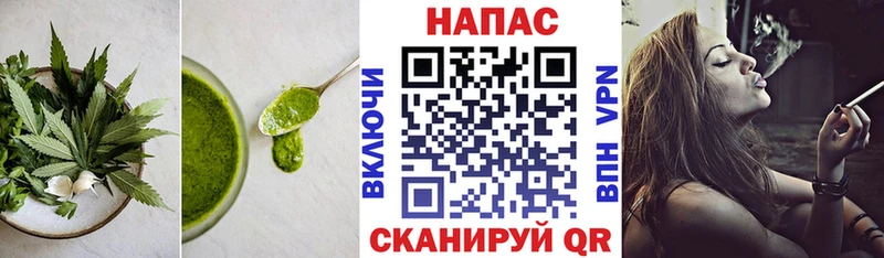 Canna-Cookies марихуана  дарк нет официальный сайт  Чкаловск 