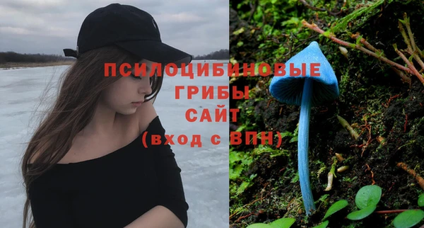 кокс Алексеевка