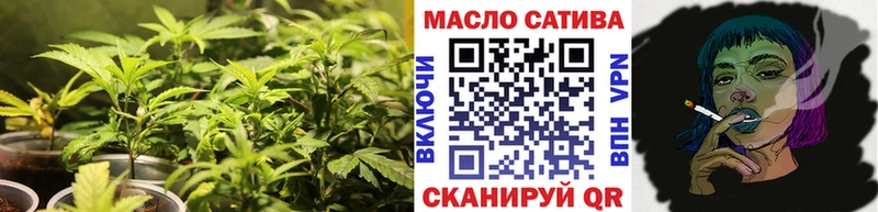 shop как зайти omg сайт Чкаловск Дистиллят ТГК концентрат